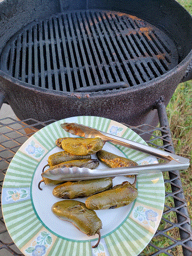 Grilled Peppers 10-1-22.gif Grilled Peppers 10-1-22.gif